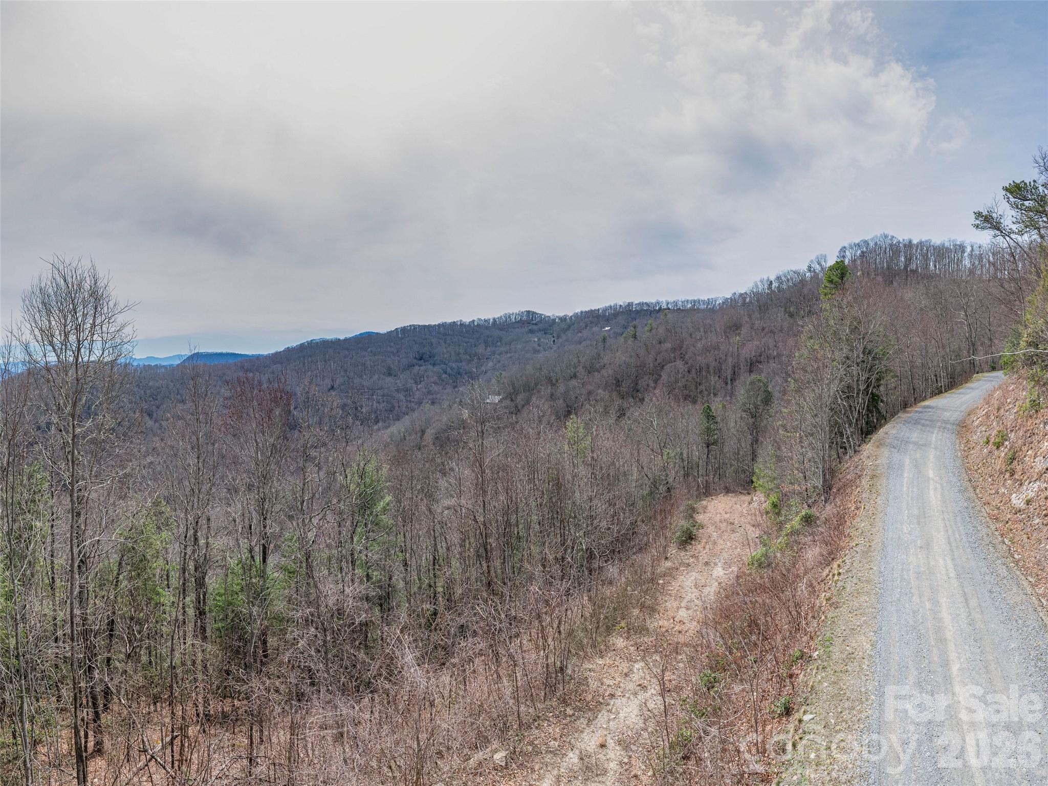 Acreage at 000 Sigogglin Road, Waynesville, photo 13 of 24