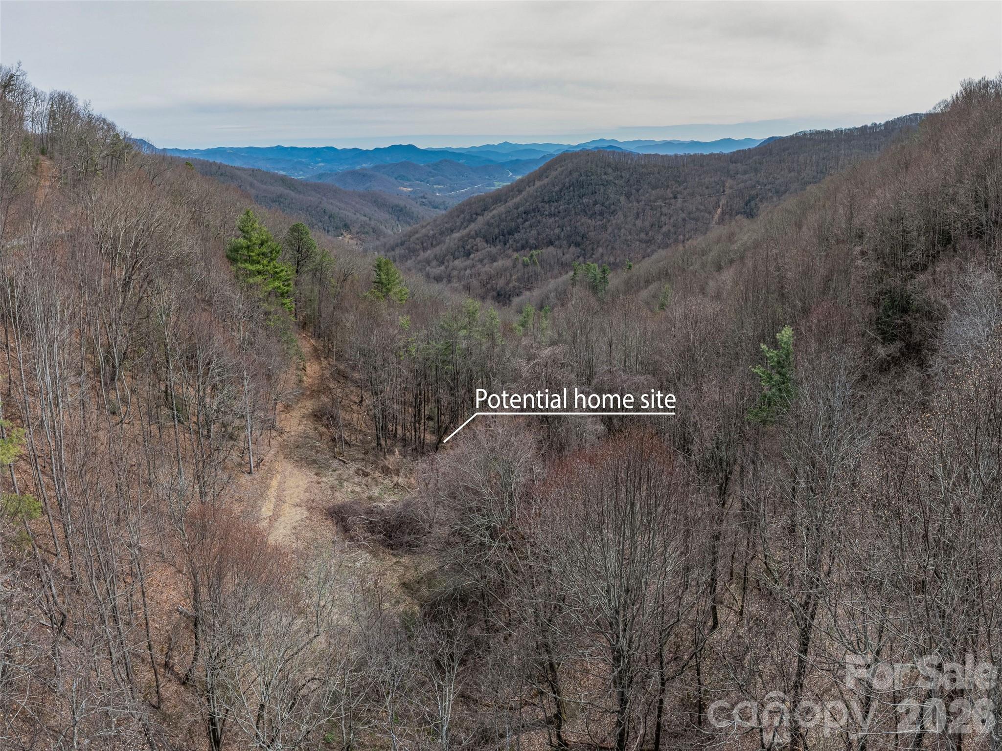 Acreage at 000 Sigogglin Road, Waynesville, photo 14 of 24
