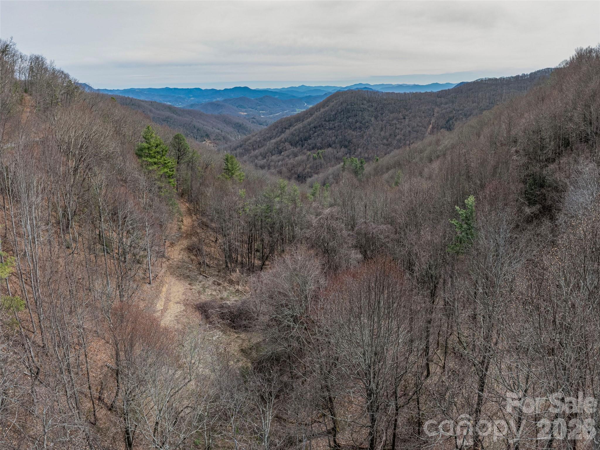 Acreage at 000 Sigogglin Road, Waynesville, photo 15 of 24