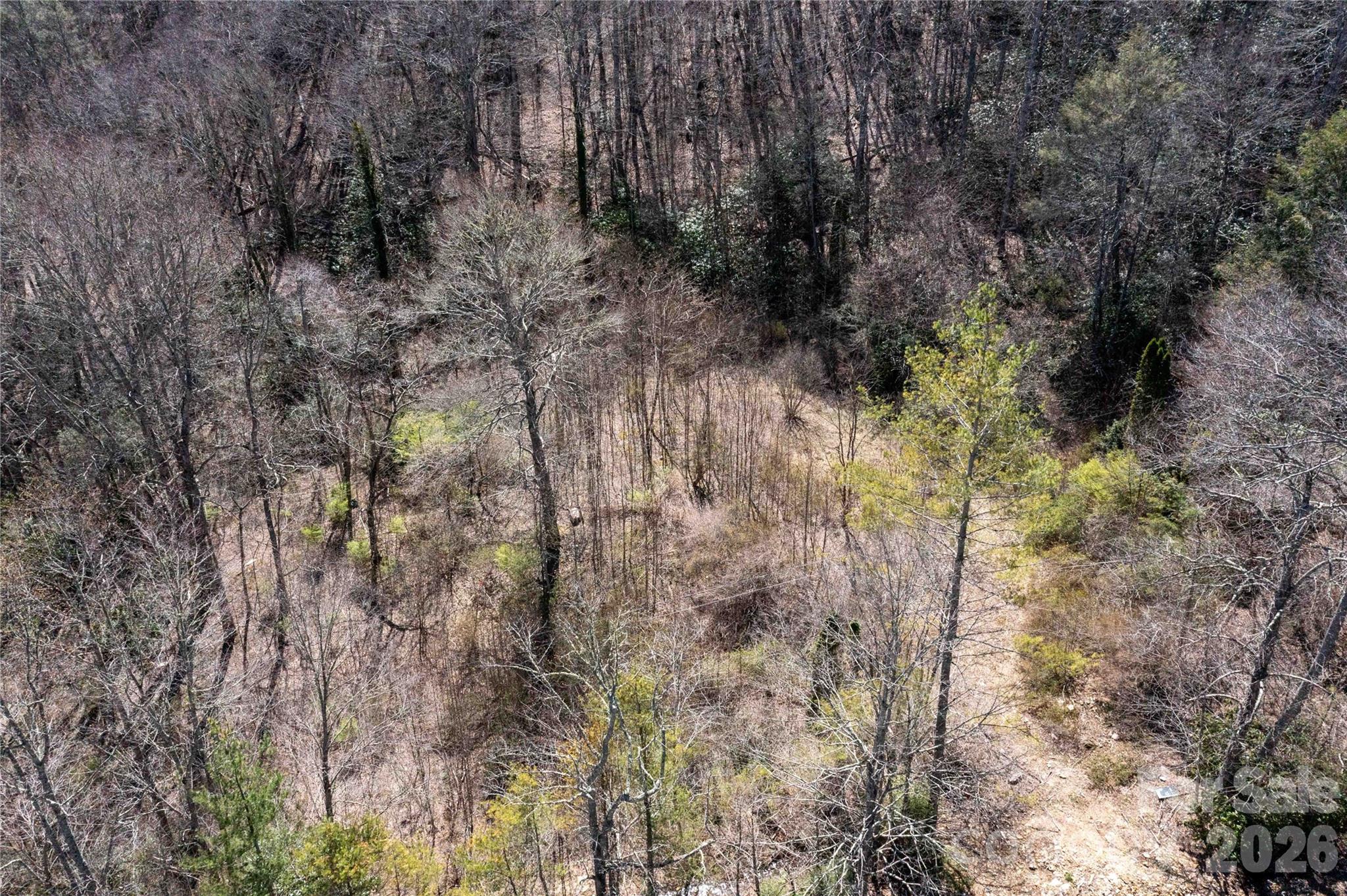 Acreage at 99 Banjo Branch Road, Burnsville, photo 3 of 42