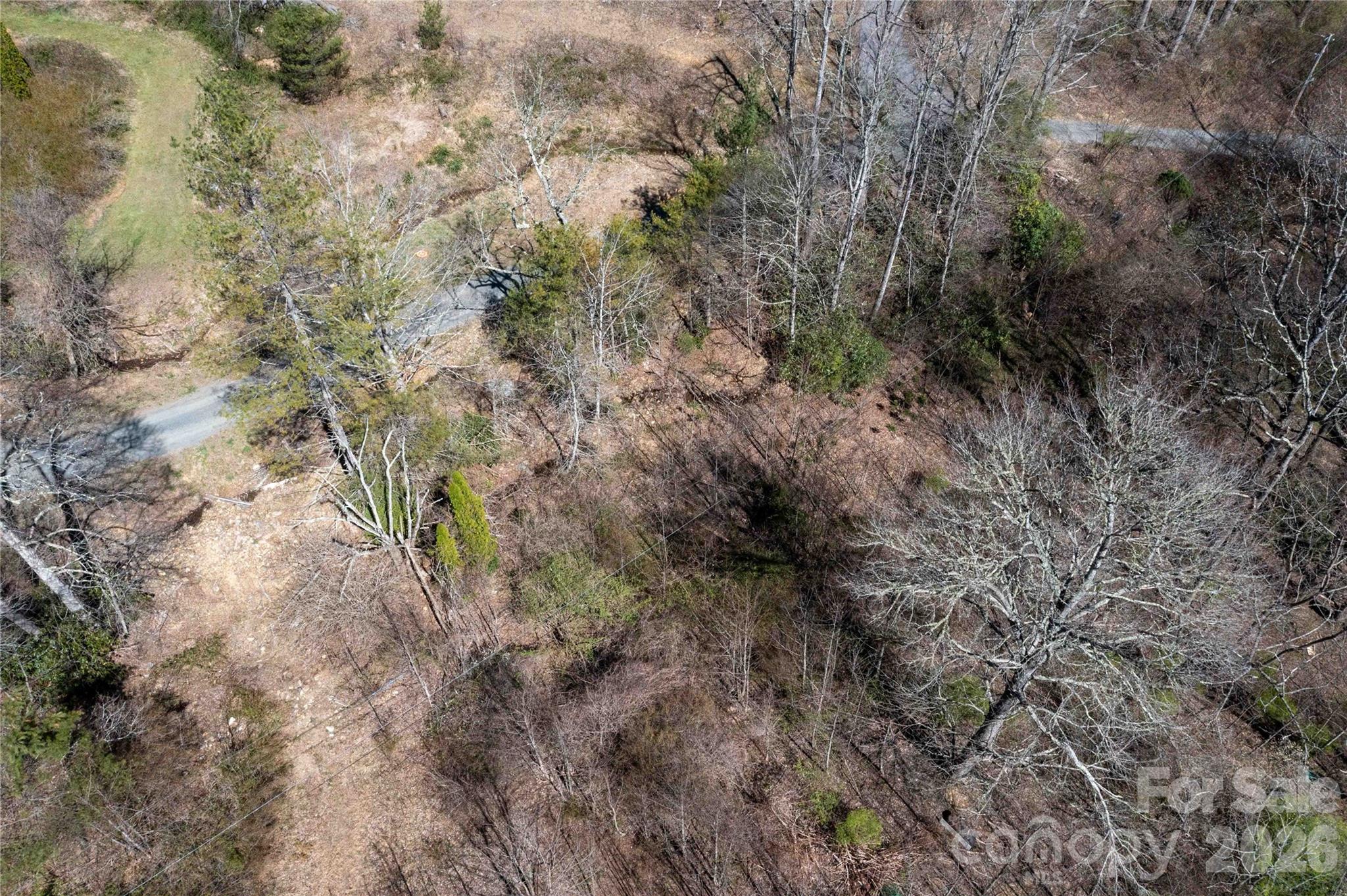 Acreage at 99 Banjo Branch Road, Burnsville, photo 4 of 42