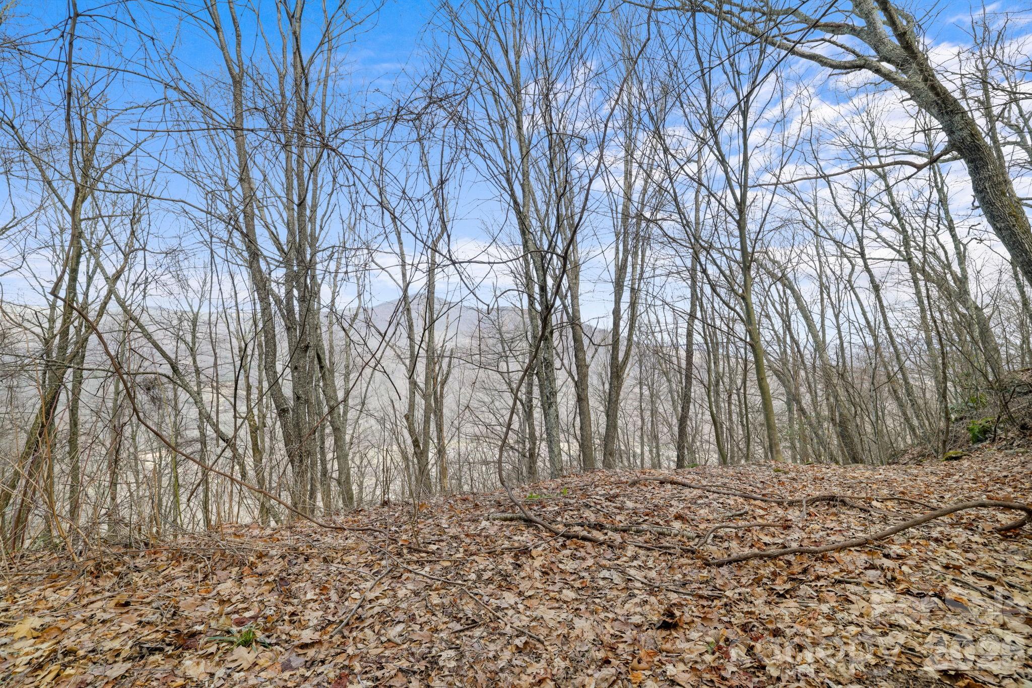 Acreage at 00 Forest Drive, Maggie Valley, photo 2 of 8