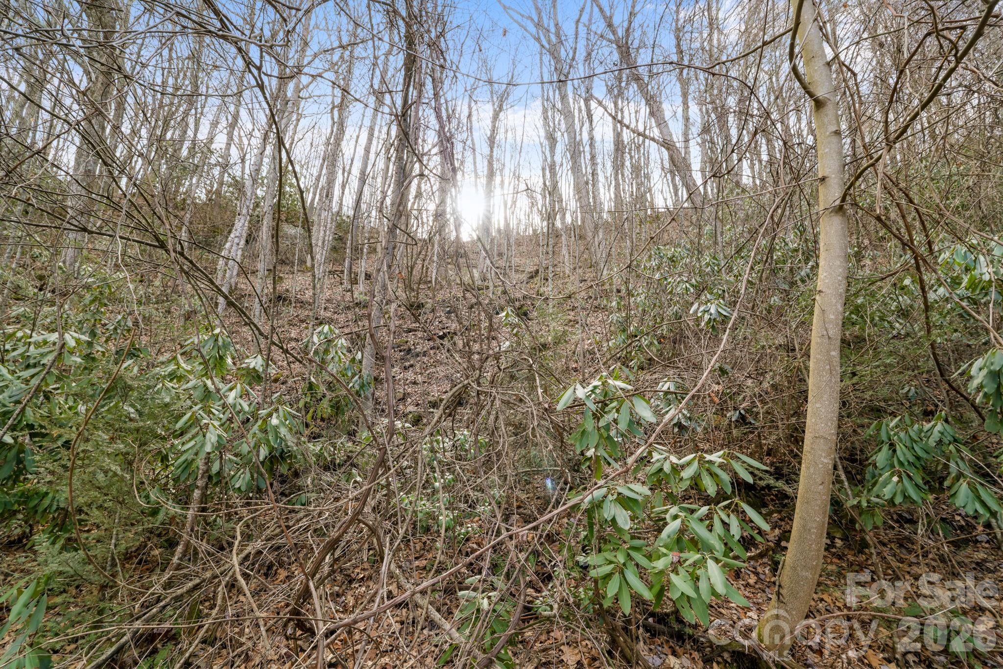 Acreage at 00 Forest Drive, Maggie Valley, photo 3 of 8