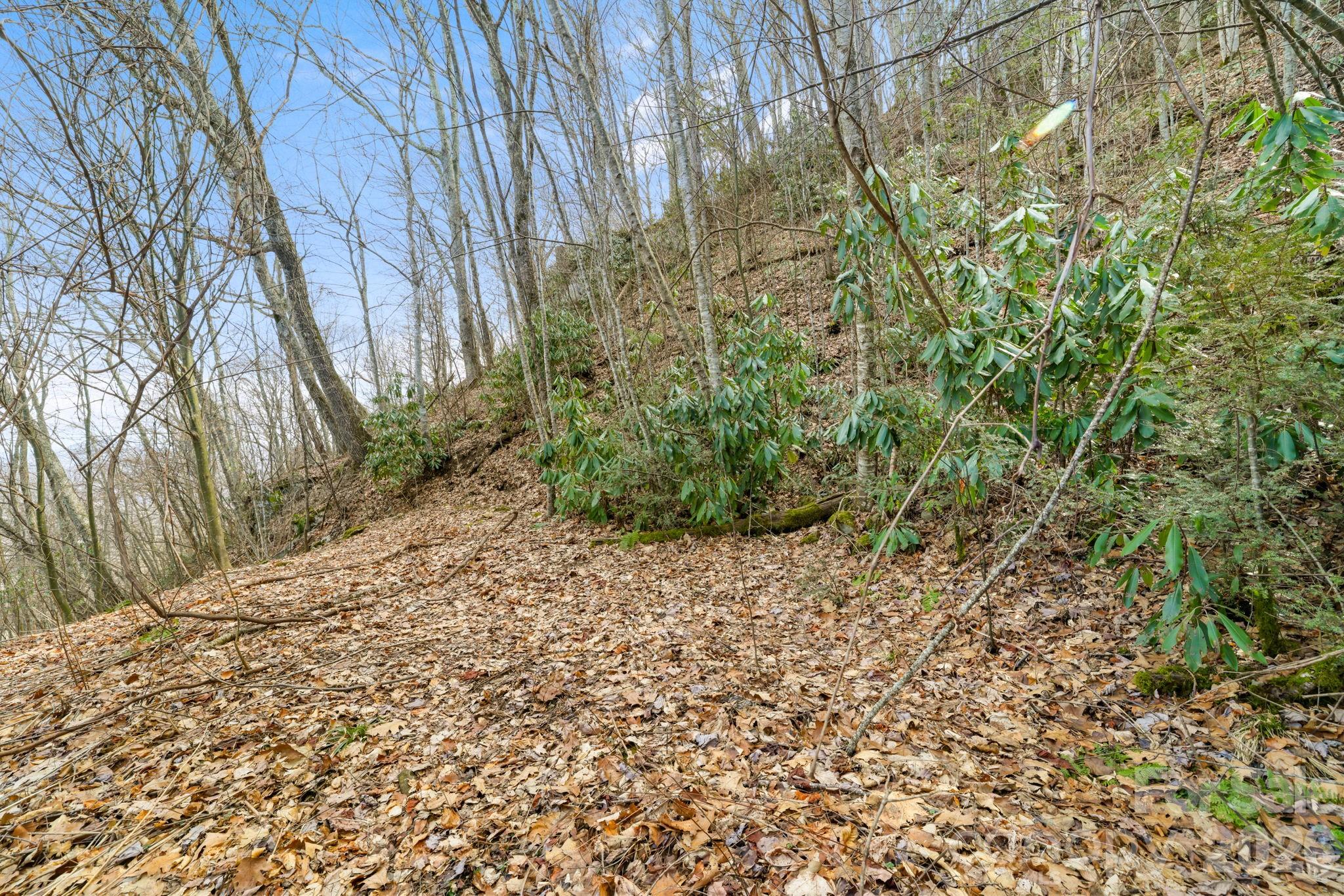 Acreage at 00 Forest Drive, Maggie Valley, photo 4 of 8