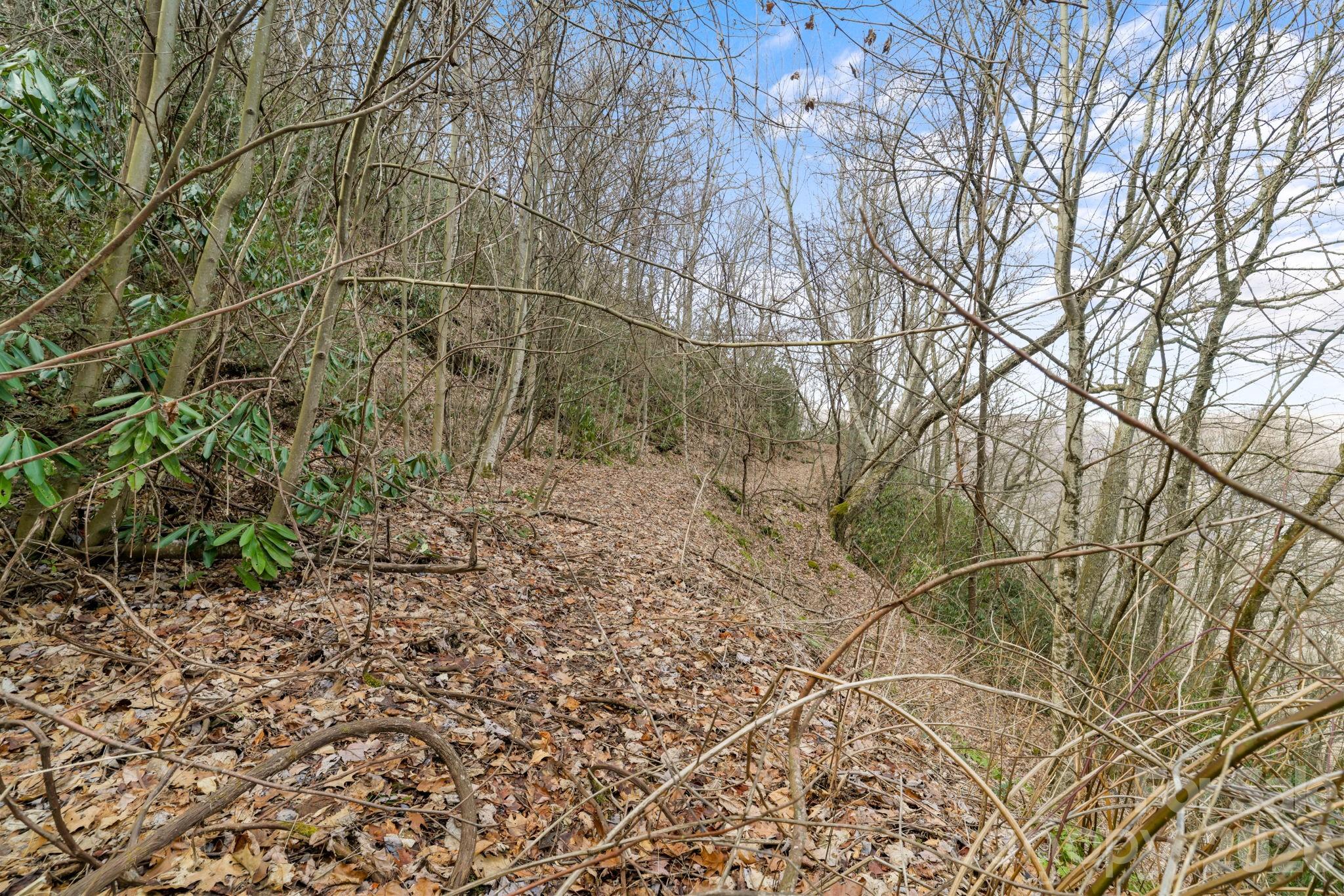 Acreage at 00 Forest Drive, Maggie Valley, photo 5 of 8