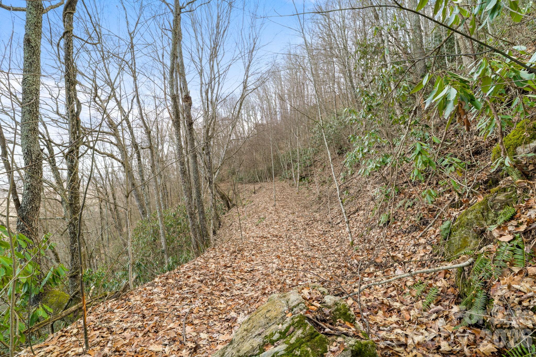 Acreage at 00 Forest Drive, Maggie Valley, photo 6 of 8