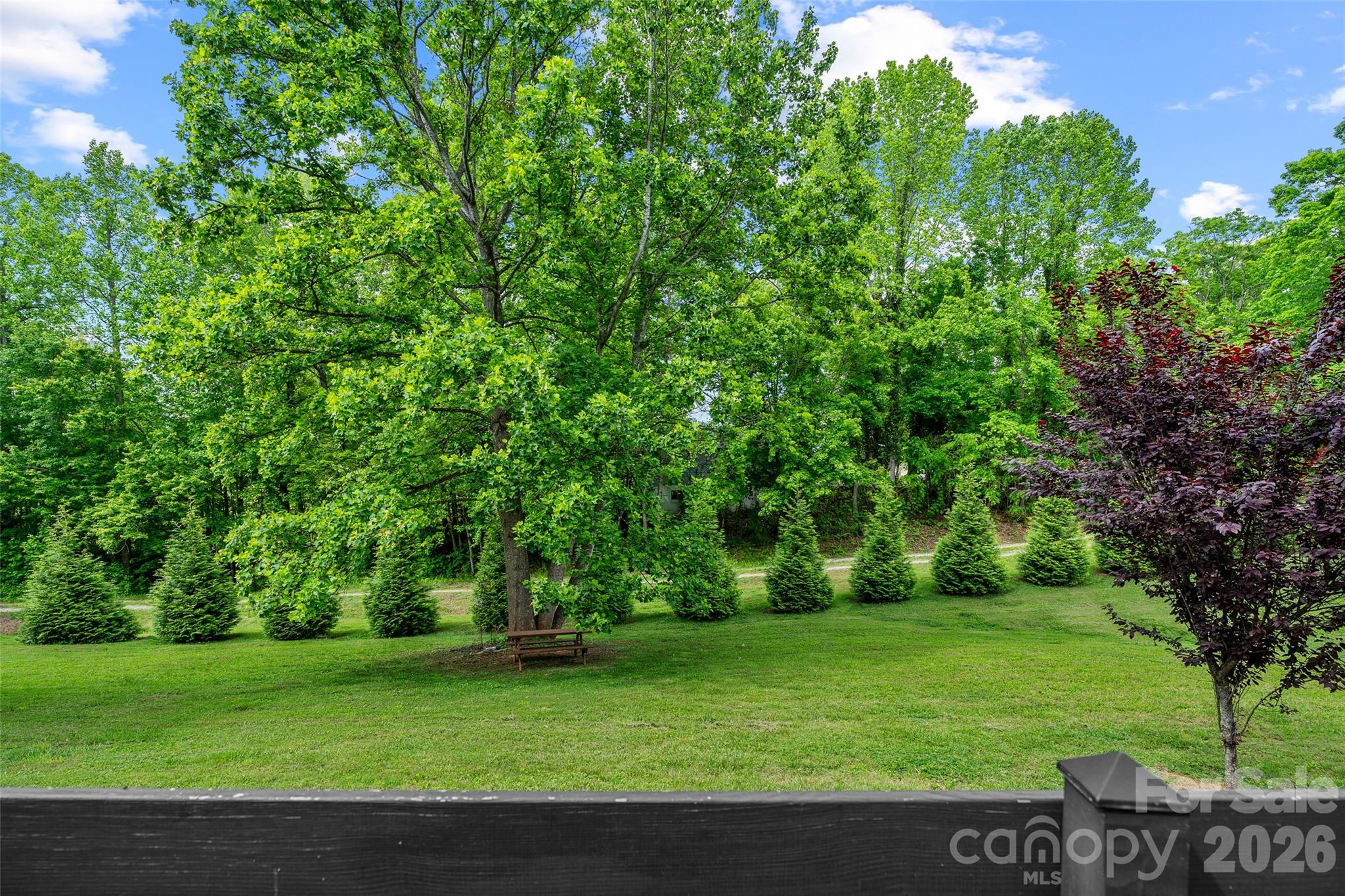 MINI - Yard deck view - 787 Ridge Road, Marion
