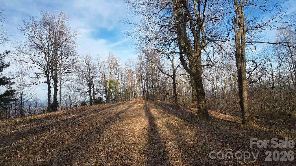 Acreage at 7400 Burkemont Road, Morganton, photo 4 of 9
