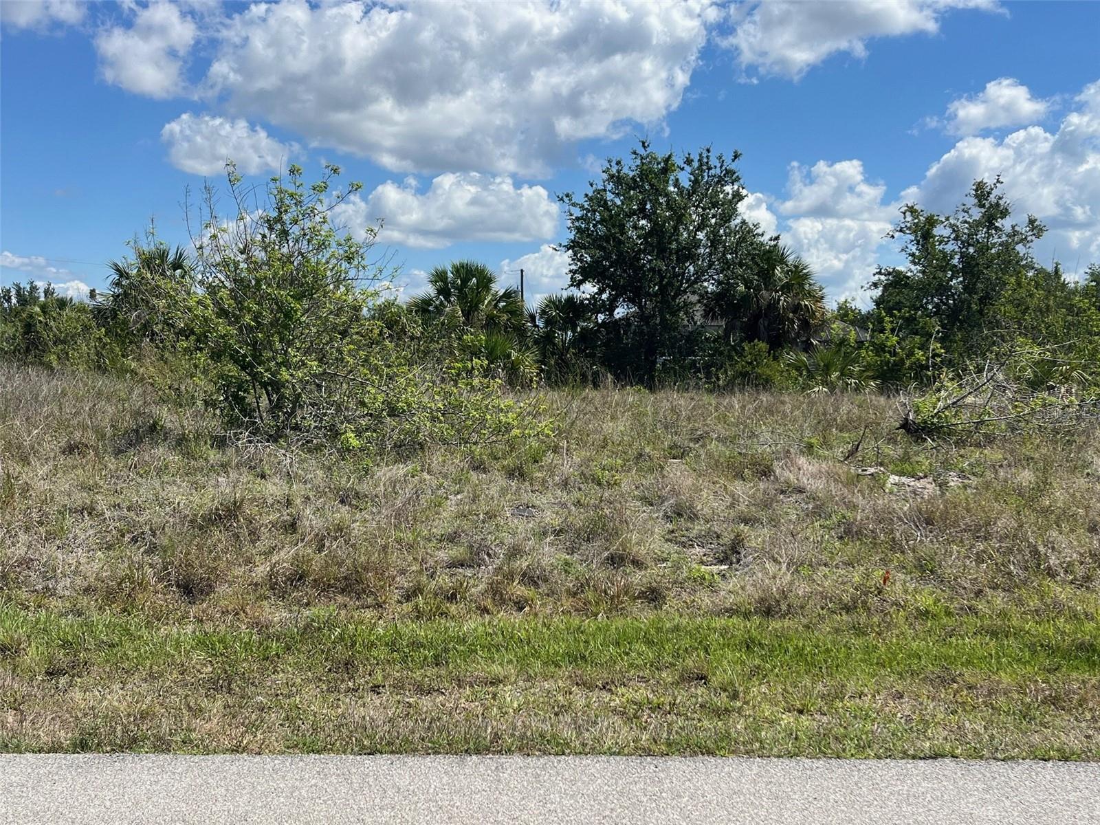 13598 ALLAMANDA CIR