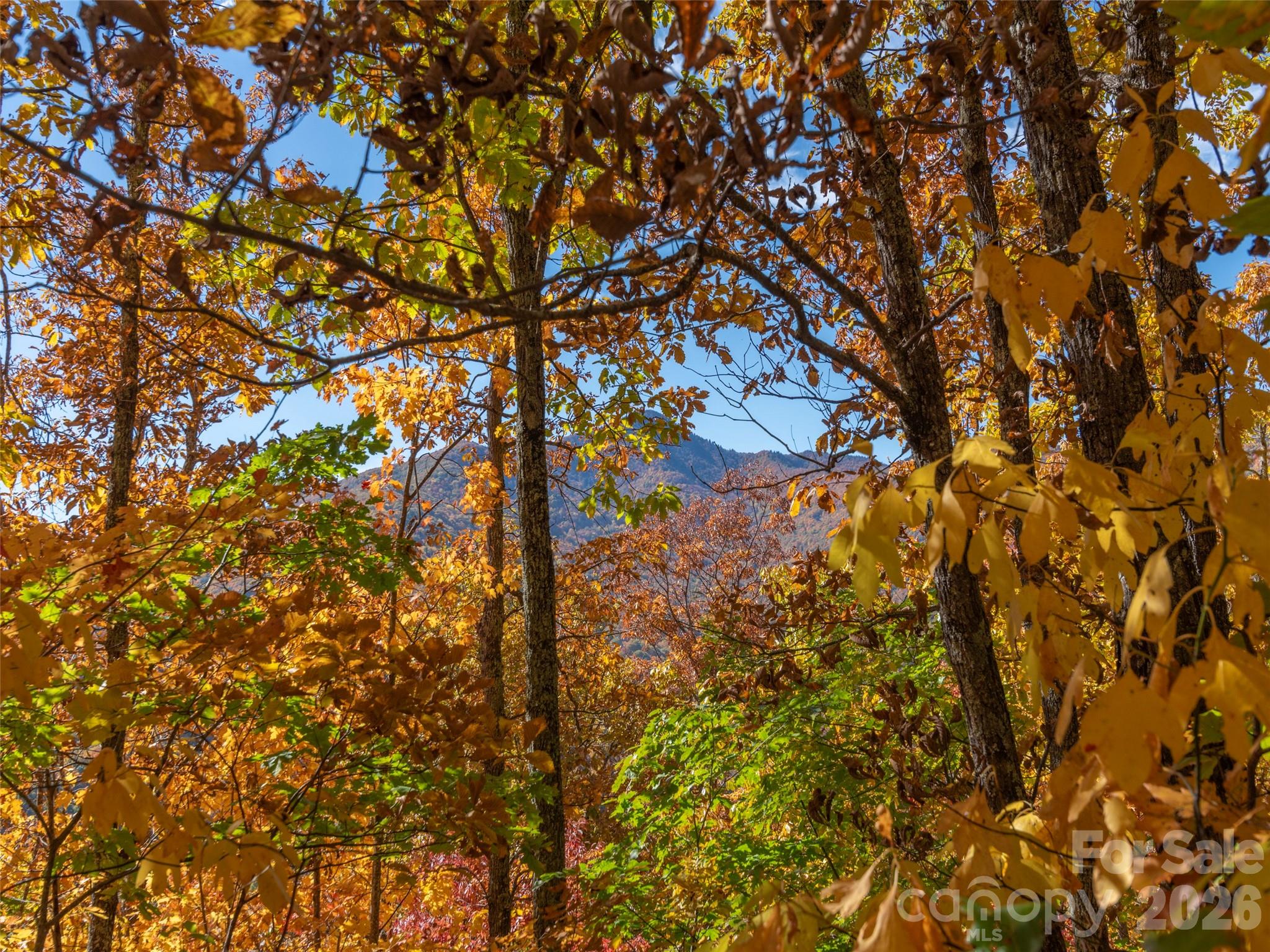Lot at 0 Legend Road, Waynesville, photo 11 of 28