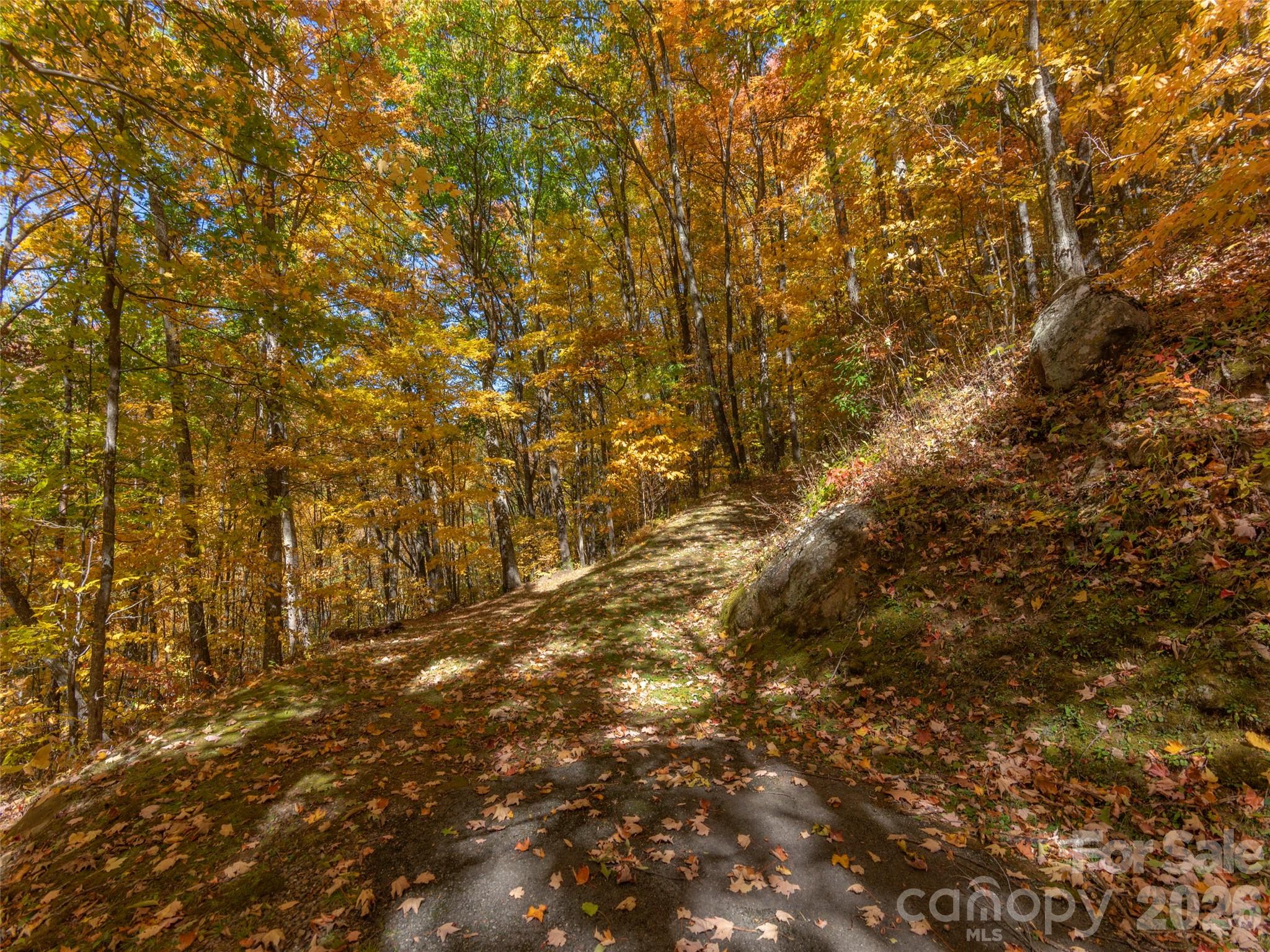 Lot at 0 Legend Road, Waynesville, photo 14 of 28