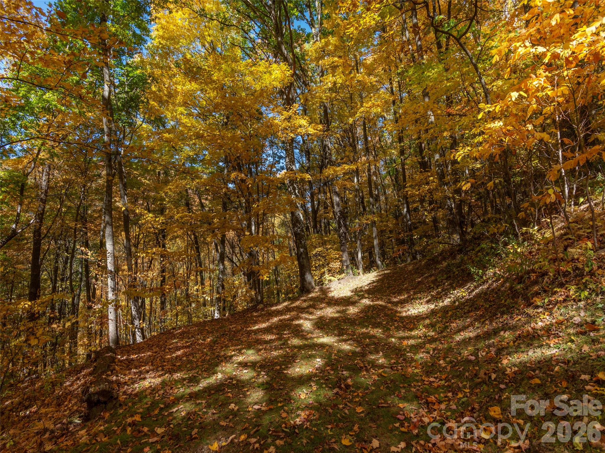 Lot at 0 Legend Road, Waynesville, photo 15 of 28