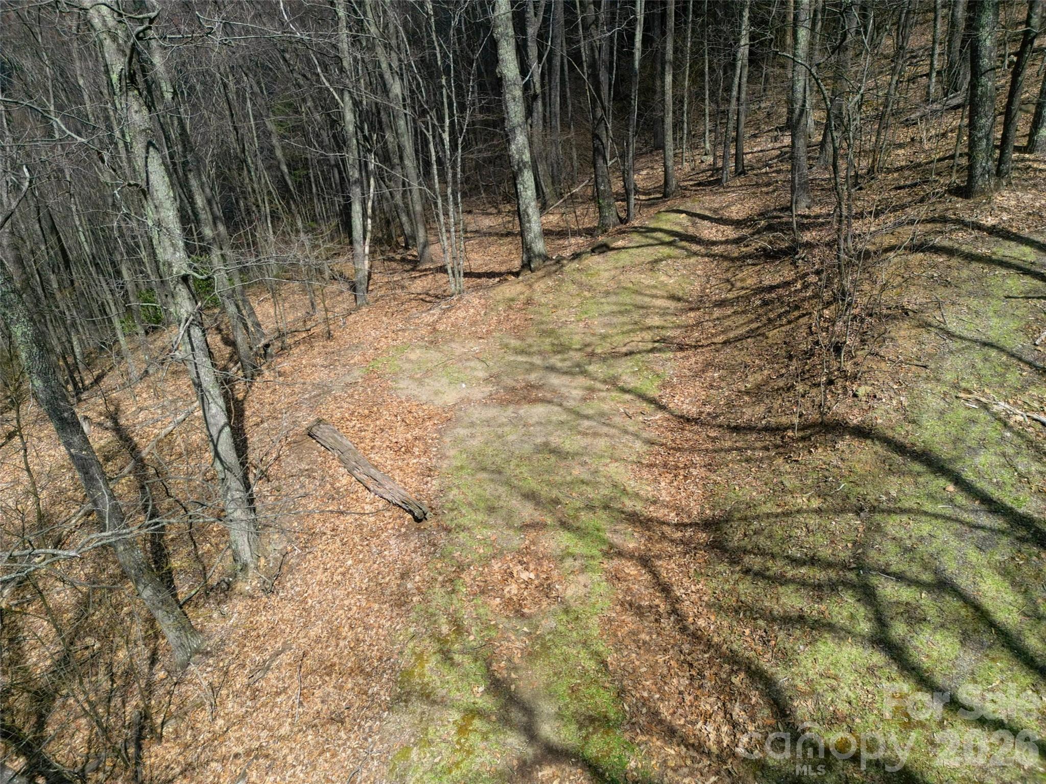 Lot at 0 Legend Road, Waynesville, photo 5 of 28