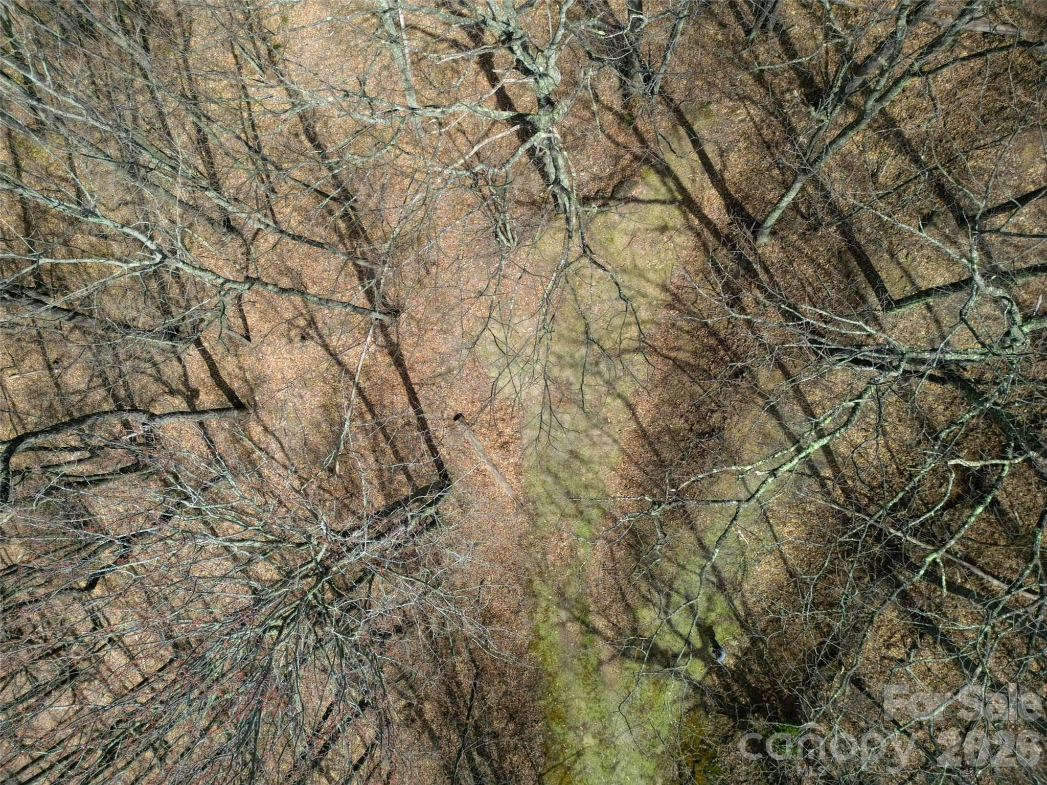 Lot at 0 Legend Road, Waynesville, photo 25 of 28