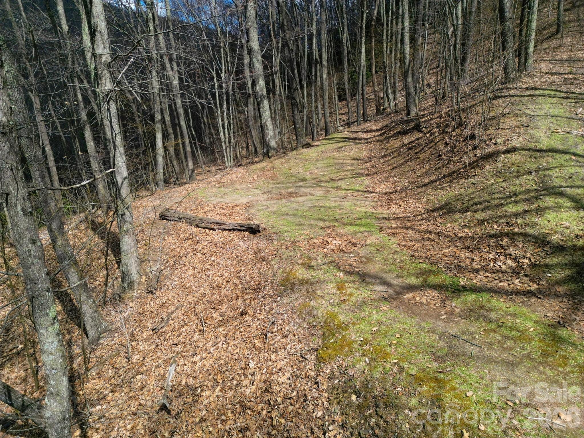 Lot at 0 Legend Road, Waynesville, photo 3 of 28