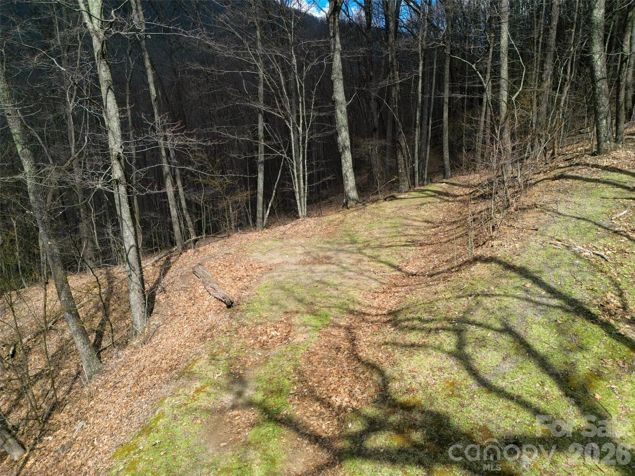 Lot at 0 Legend Road, Waynesville, photo 8 of 28