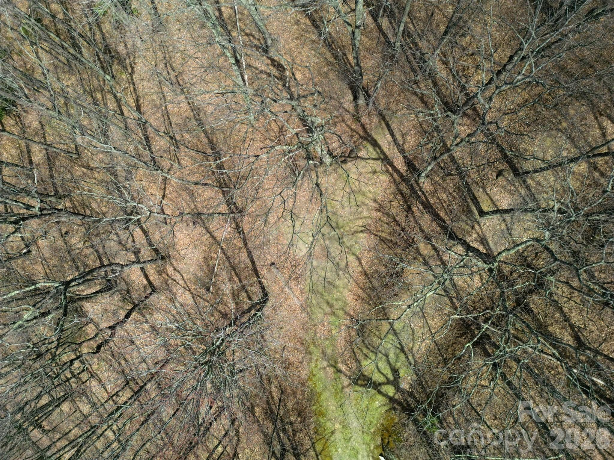 Lot at 0 Legend Road, Waynesville, photo 9 of 28
