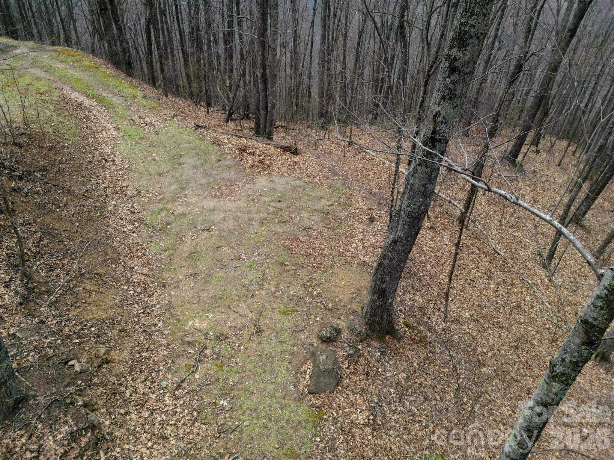 Lot at 0 Legend Road, Waynesville, photo 26 of 28