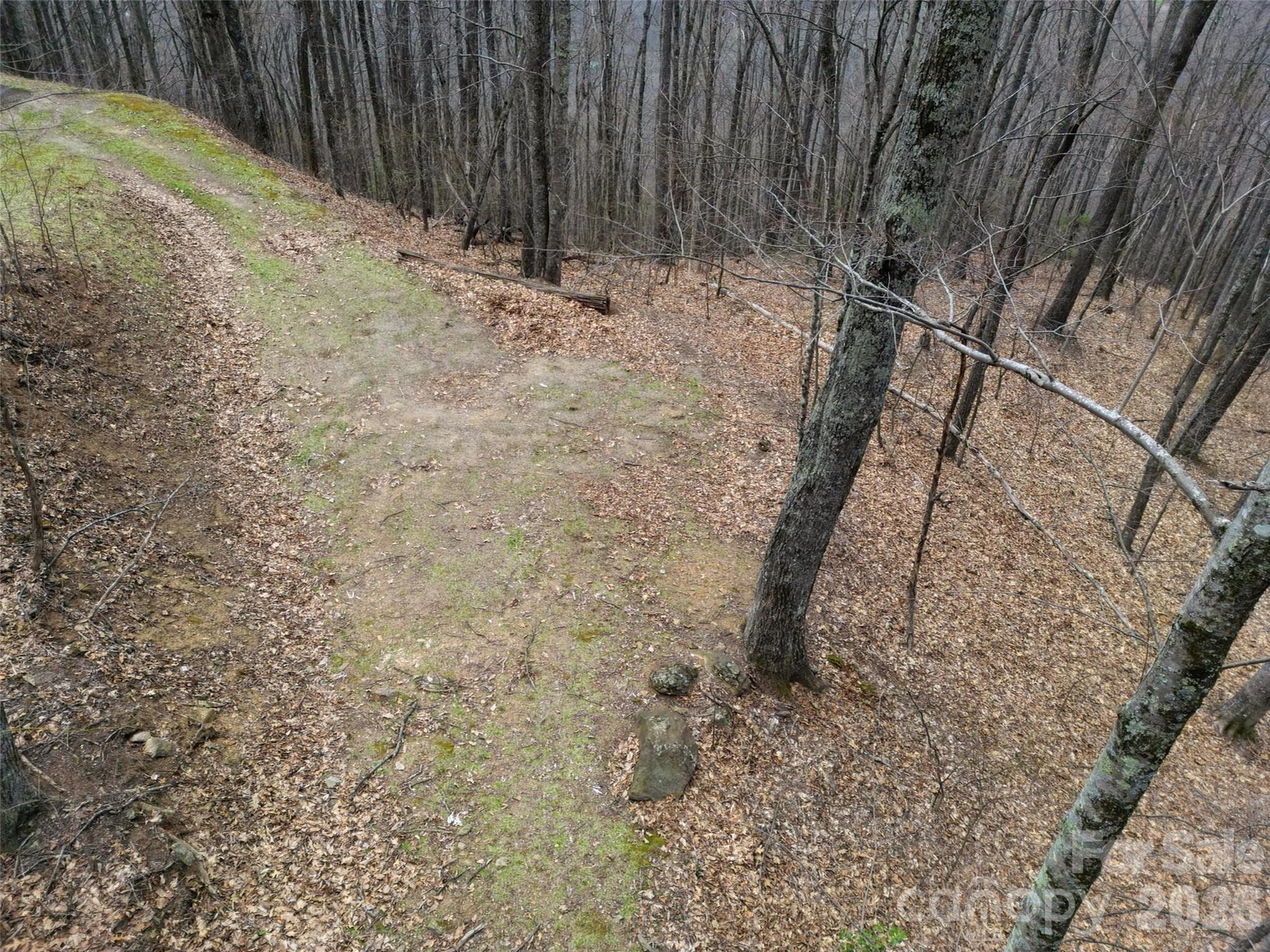 Lot at 0 Legend Road, Waynesville, photo 6 of 28