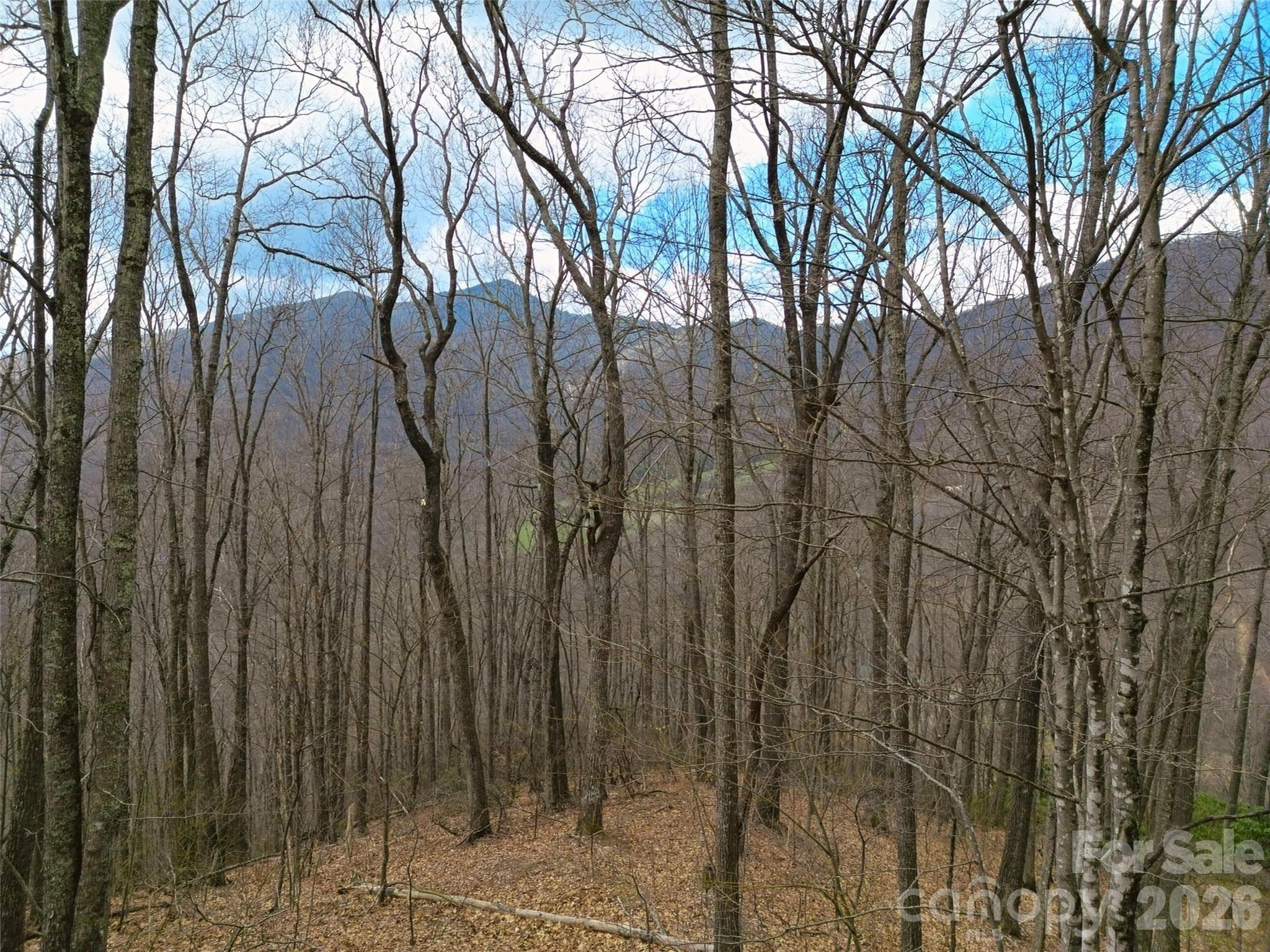Lot at 0 Legend Road, Waynesville, photo 27 of 28