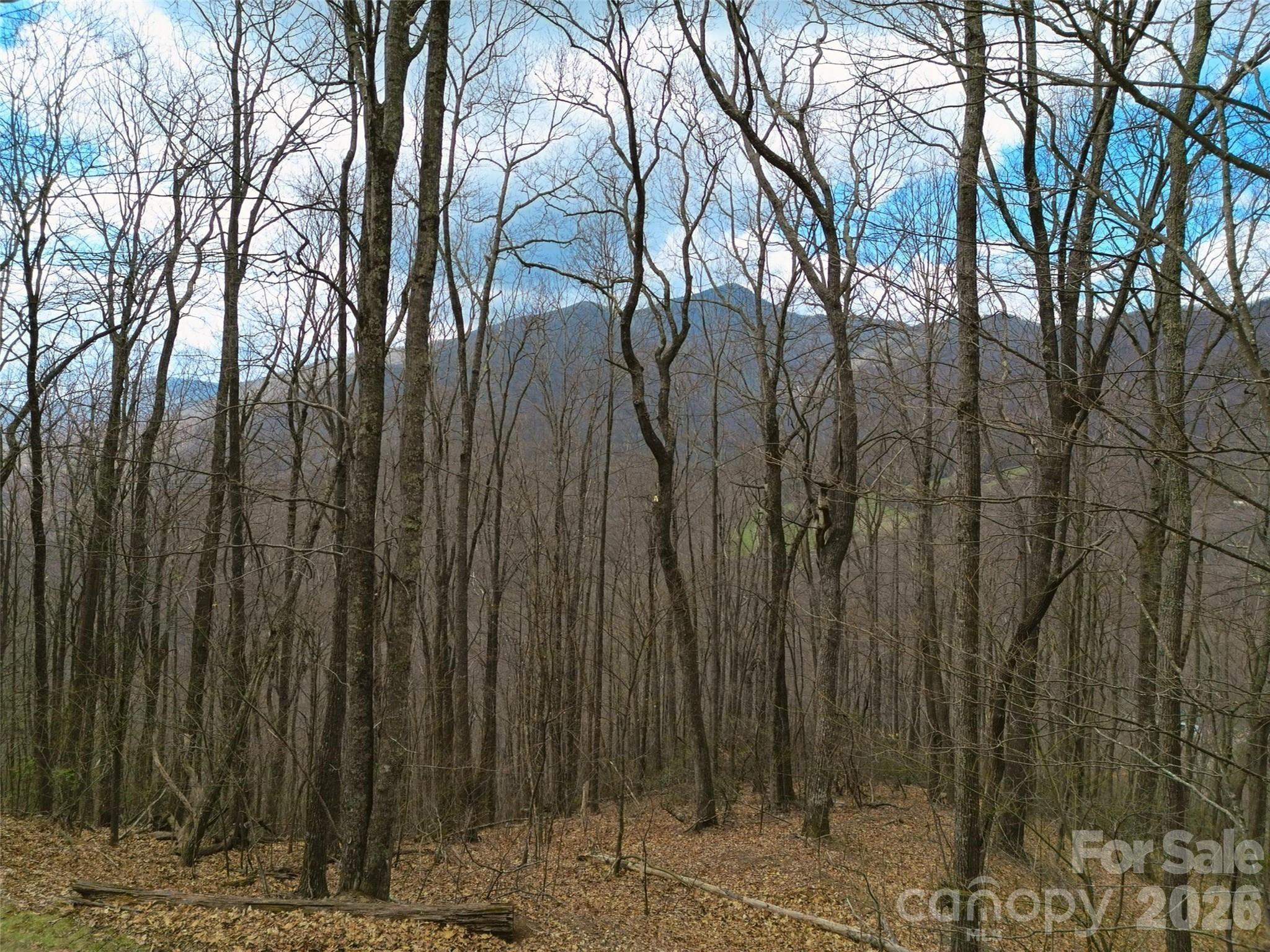Lot at 0 Legend Road, Waynesville, photo 28 of 28