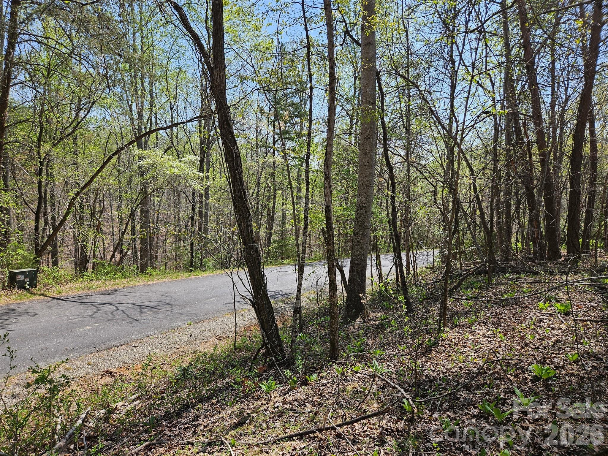 Lot at 0 Whitney Boulevard, Lake Lure, photo 9 of 10