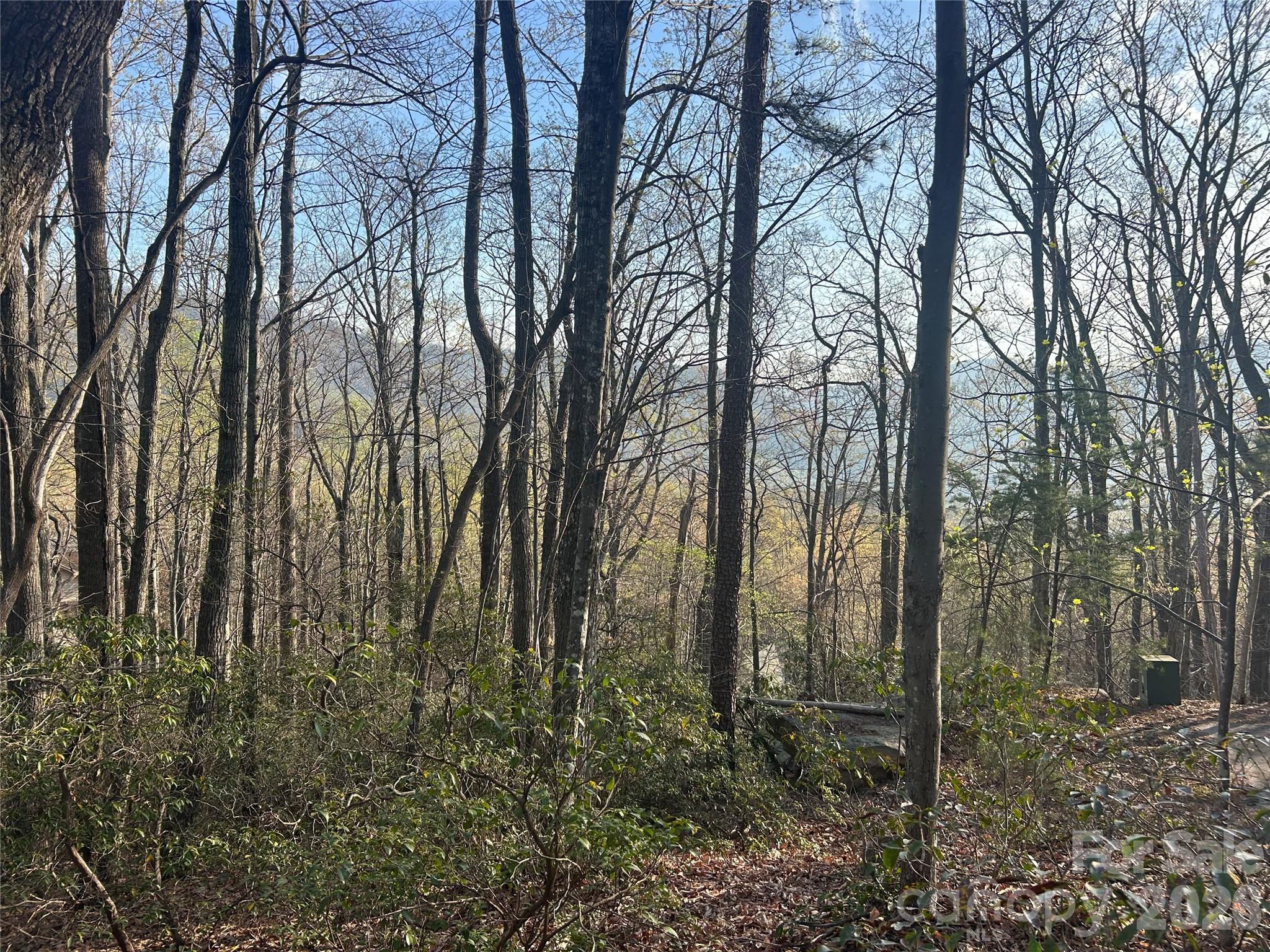Lot 301 Cardinal Road