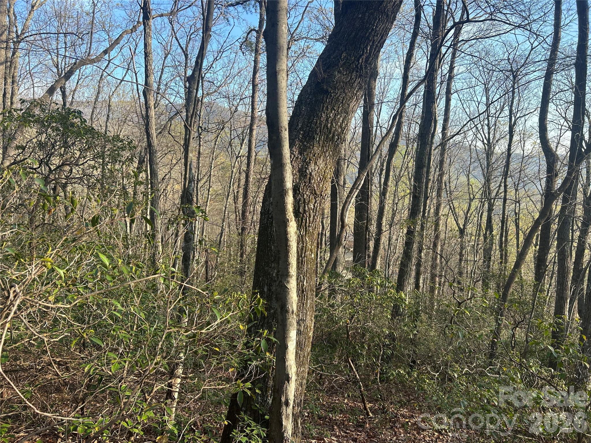 Lot at Lot 301 Cardinal Road, Lake Lure, photo 2 of 18