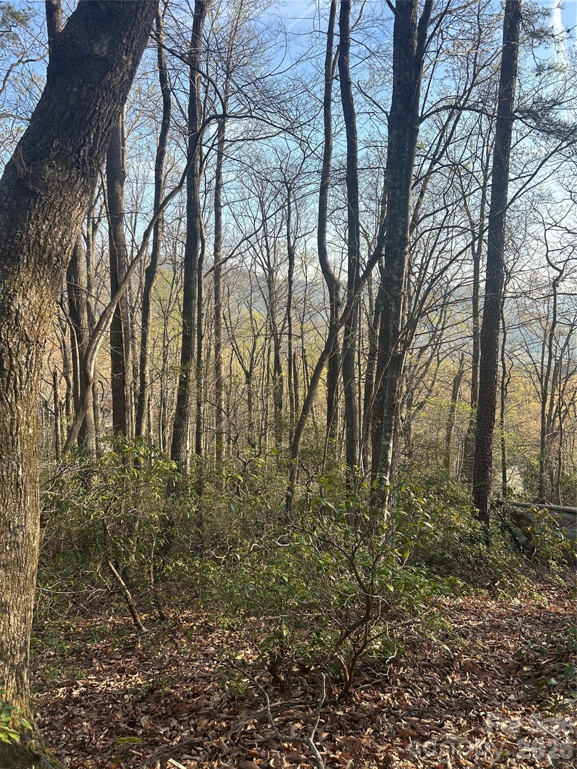 Lot at Lot 301 Cardinal Road, Lake Lure, photo 3 of 18