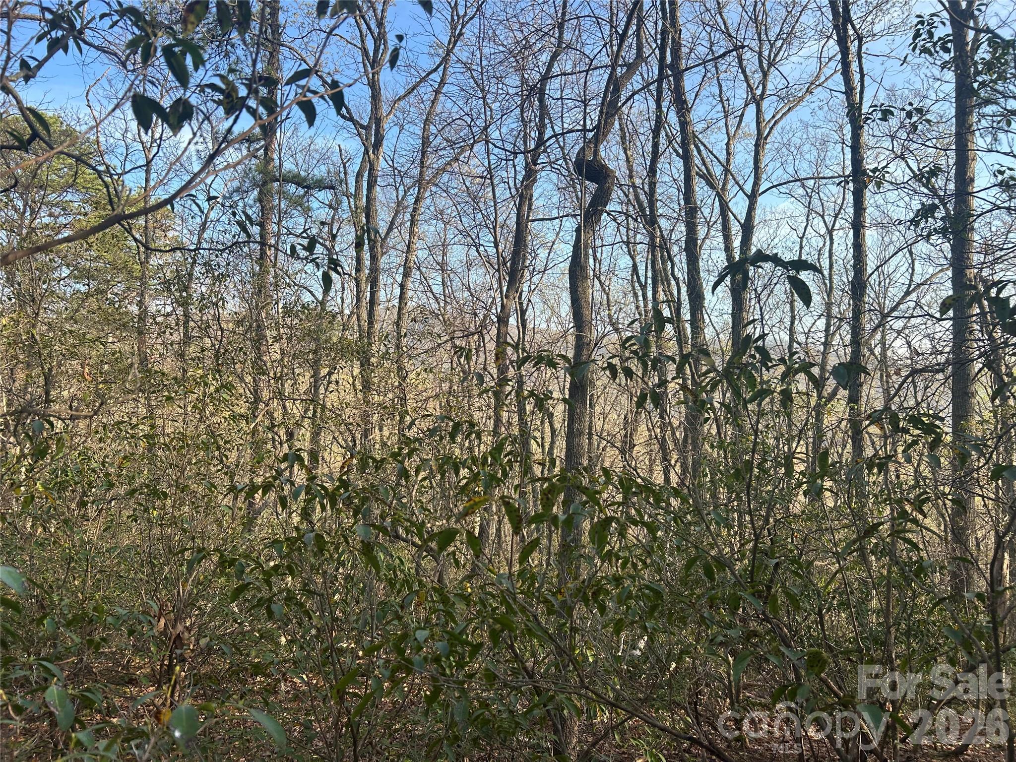 Lot at Lot 301 Cardinal Road, Lake Lure, photo 4 of 18