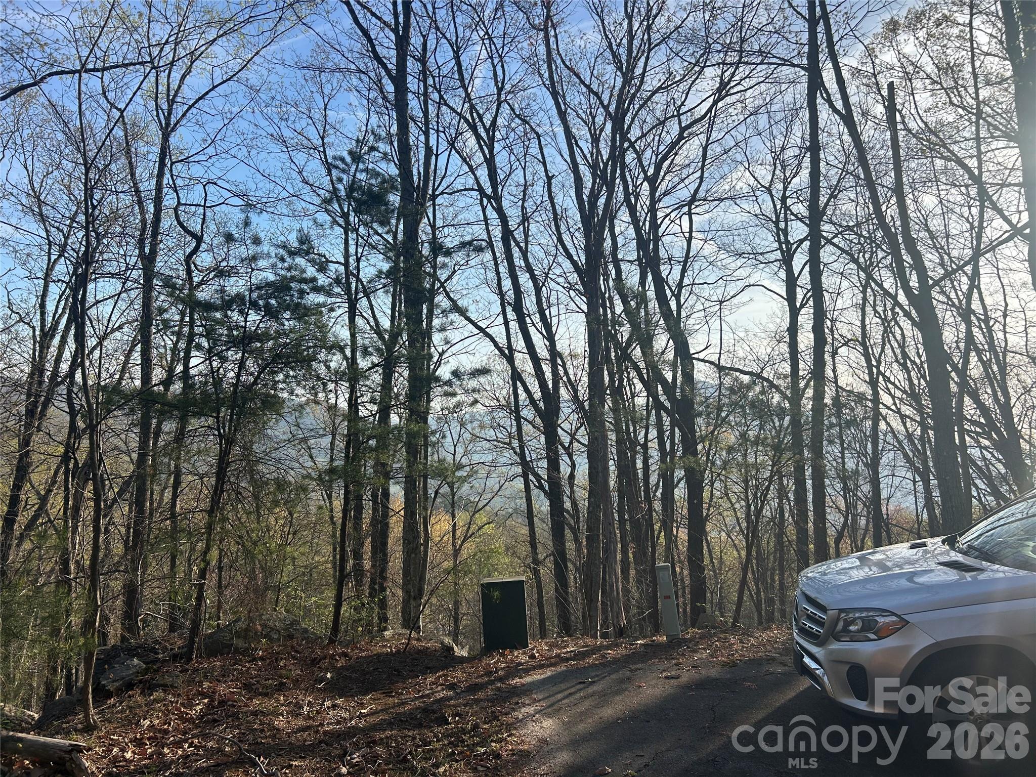 Lot at Lot 301 Cardinal Road, Lake Lure, photo 8 of 18