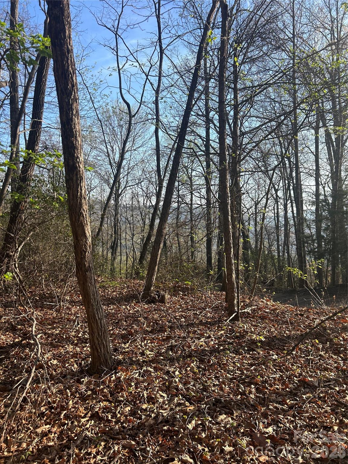 Lot at Lot 301 Cardinal Road, Lake Lure, photo 9 of 18