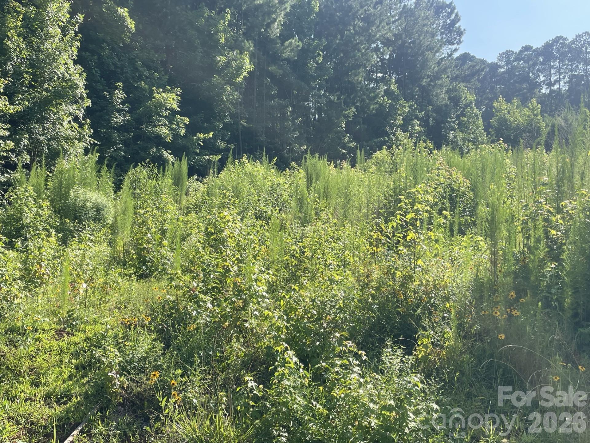 0 Ski Pond Road