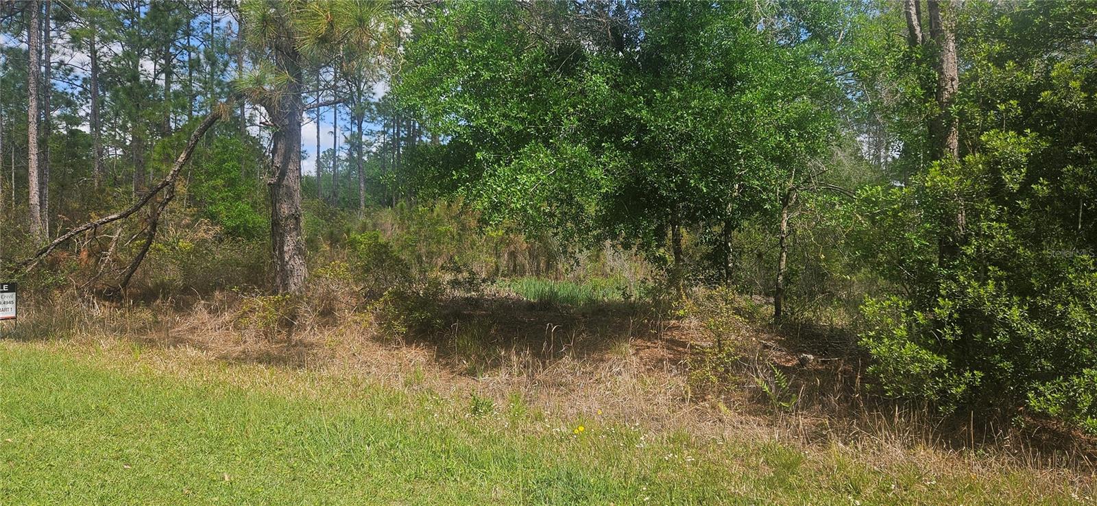 408 PANDORA DR