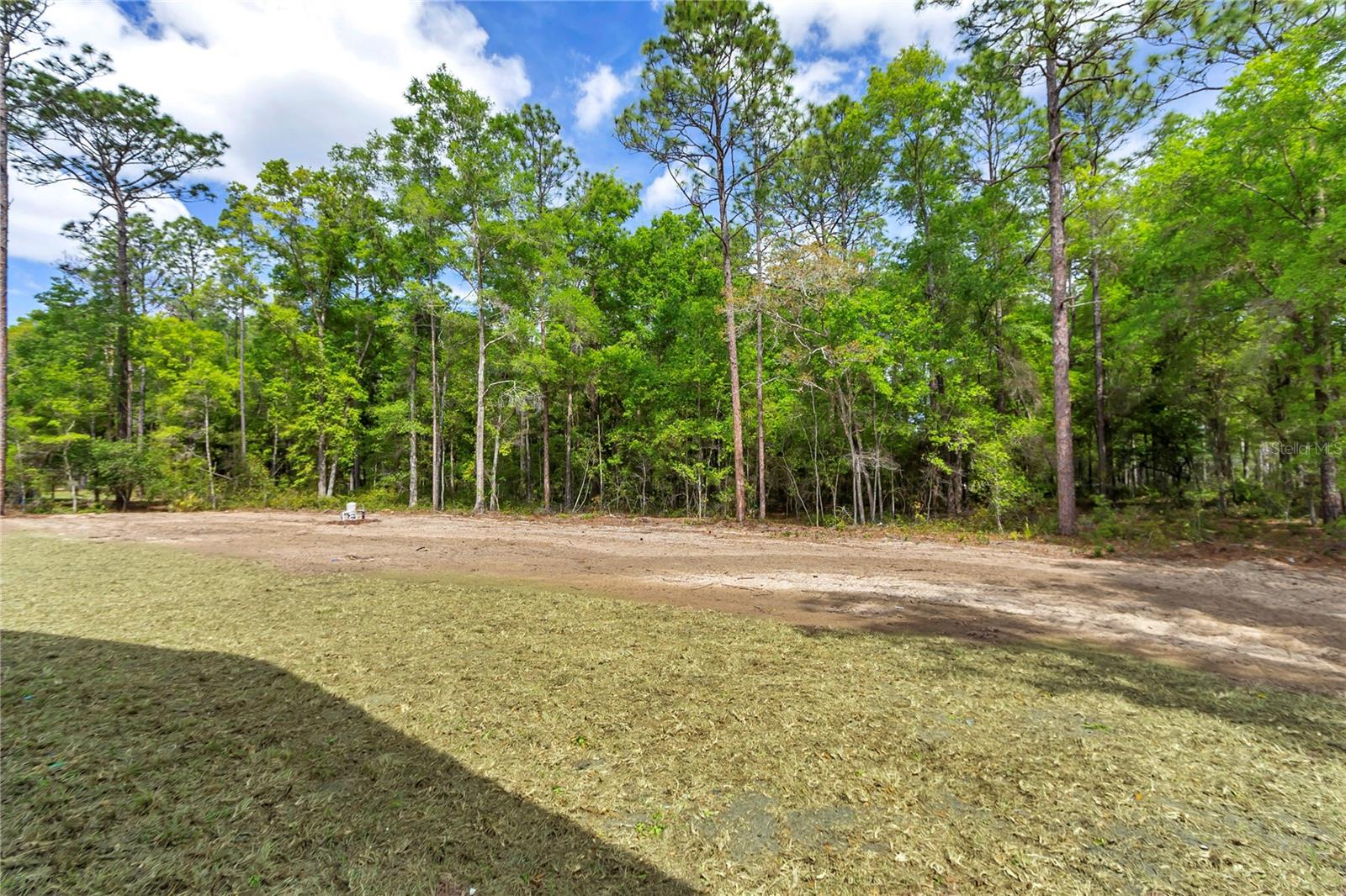 Single Family Residence at 12423 SW 45 ST, OCALA, photo 38 of 55
