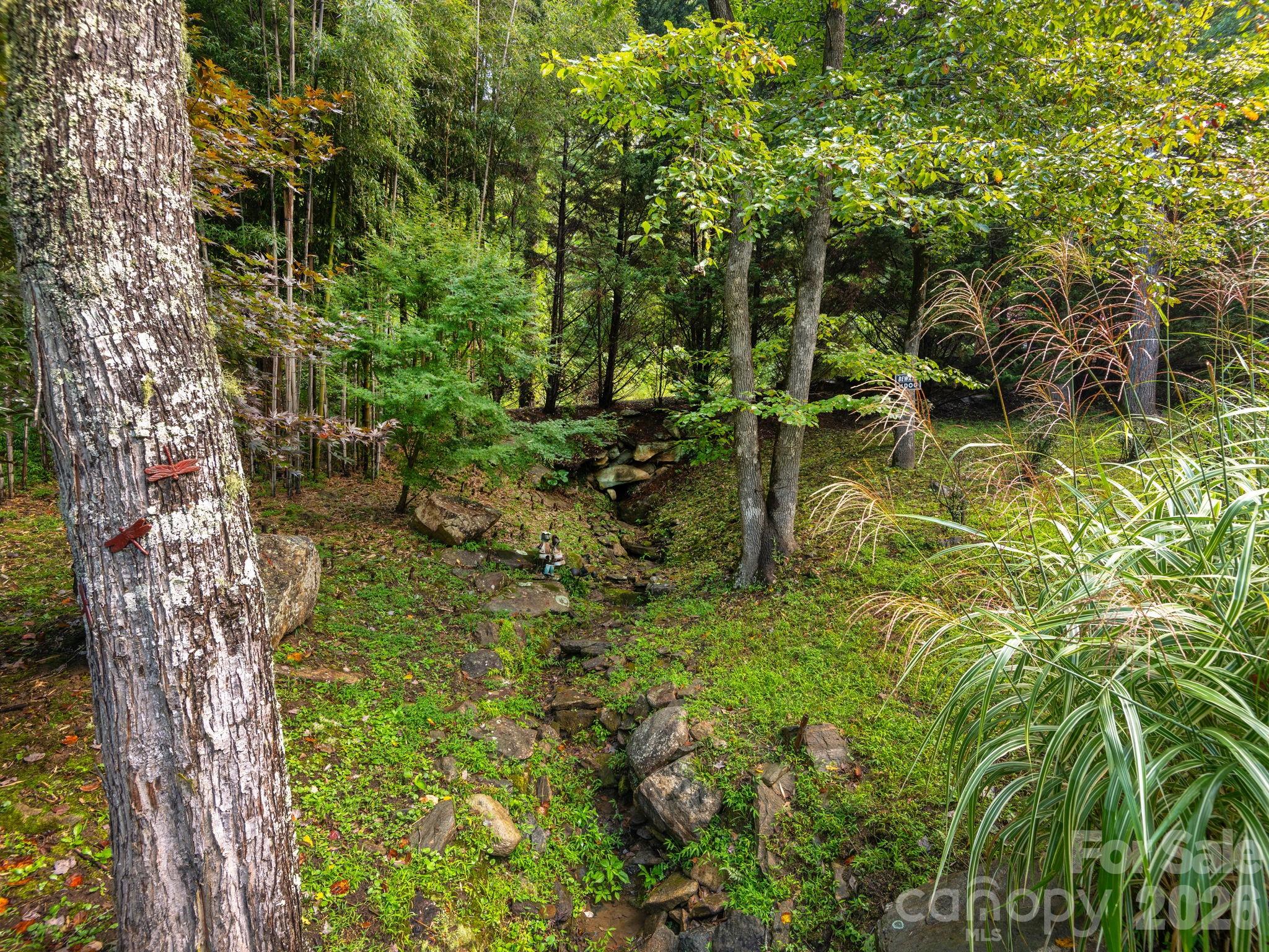 Single Family Residence at 420 Chimney Rock Drive, Weaverville, photo 35 of 42