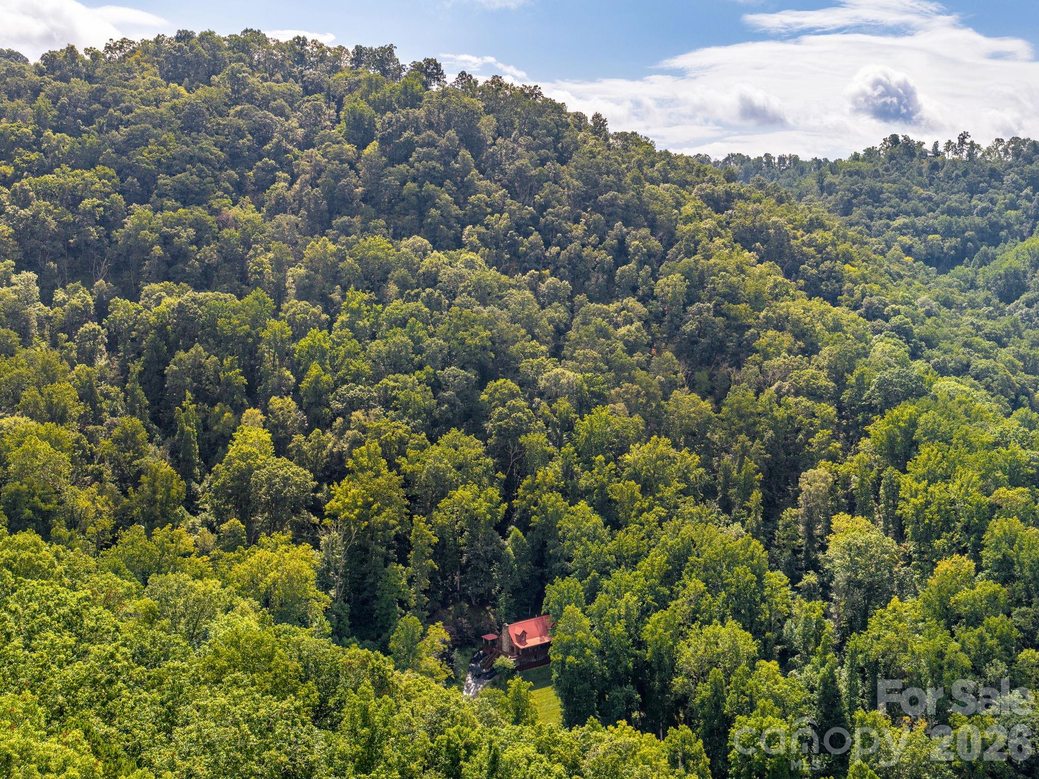 Single Family Residence at 420 Chimney Rock Drive, Weaverville, photo 41 of 42