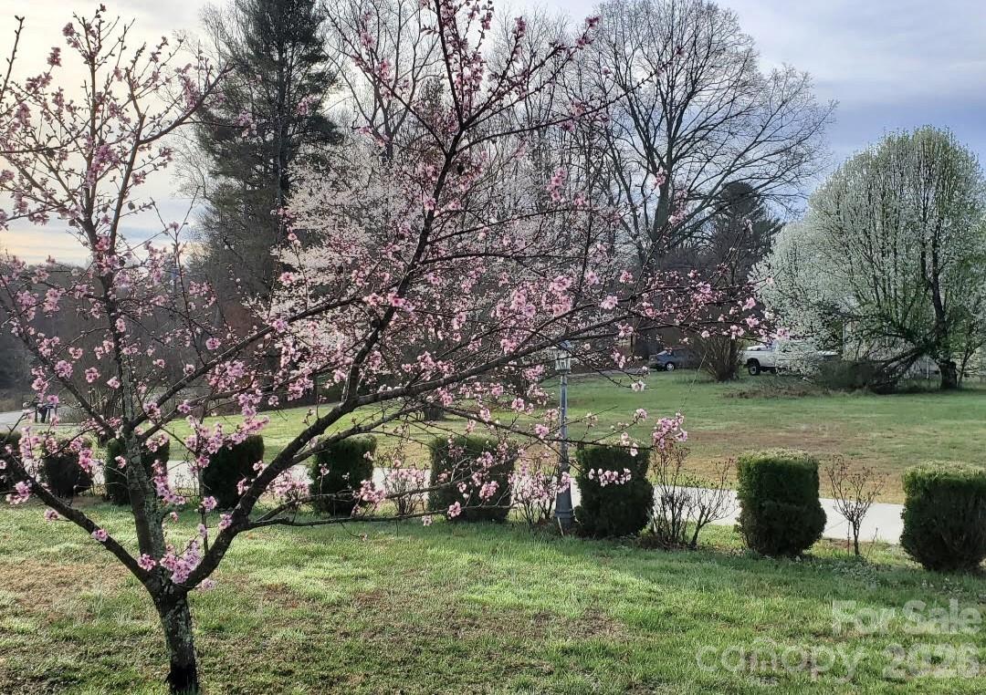 Driveway in Spring - 476 Jackson Loop Road, Flat Rock