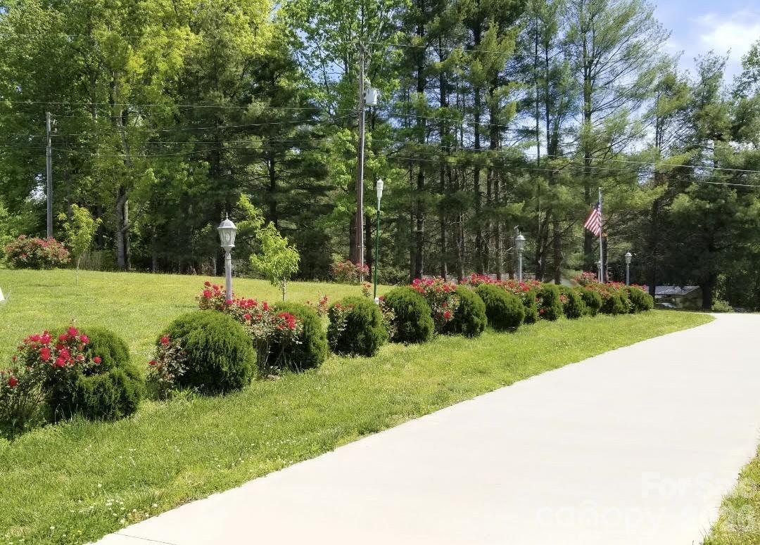 Driveway in Summer - 476 Jackson Loop Road, Flat Rock