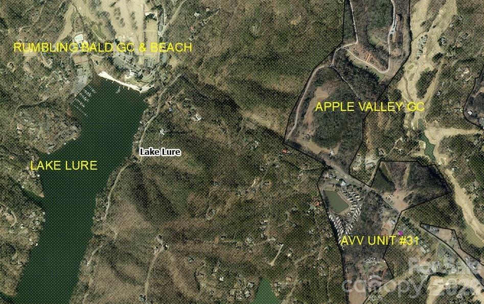 Aerial View - 160 Whitney Boulevard, Lake Lure