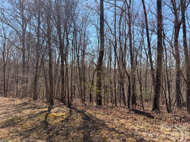 Acreage at 659 Bent Creek Drive, Nebo, photo 3 of 10