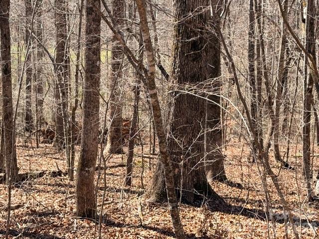 Acreage at 659 Bent Creek Drive, Nebo, photo 4 of 10