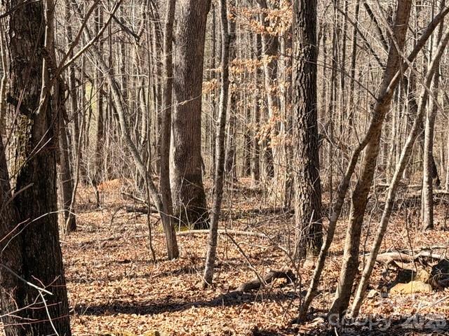 Acreage at 659 Bent Creek Drive, Nebo, photo 5 of 10
