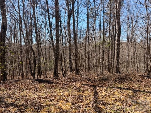 Acreage at 659 Bent Creek Drive, Nebo, photo 6 of 10
