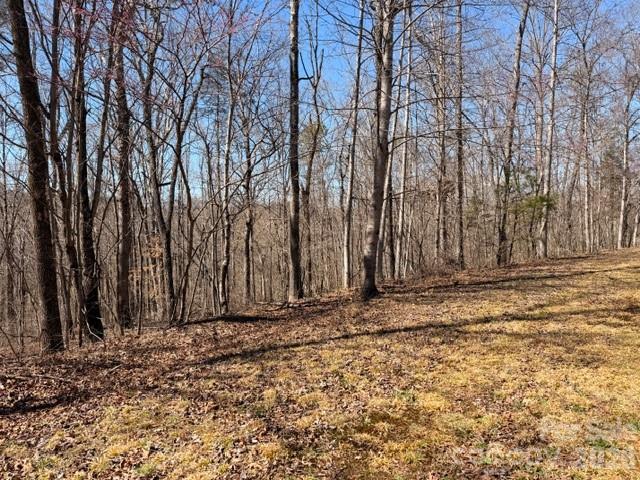 Acreage at 659 Bent Creek Drive, Nebo, photo 7 of 10