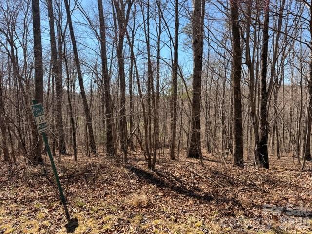 Acreage at 659 Bent Creek Drive, Nebo, photo 8 of 10