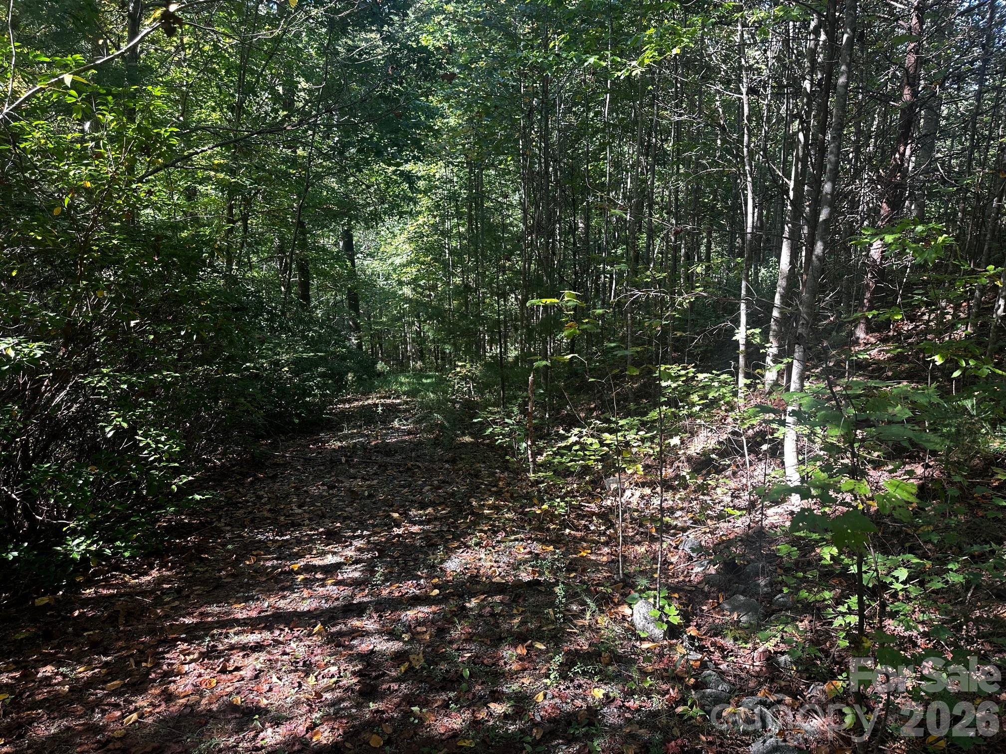 Lot at 0 Clear Creek Trail, Lake Lure, photo 4 of 8