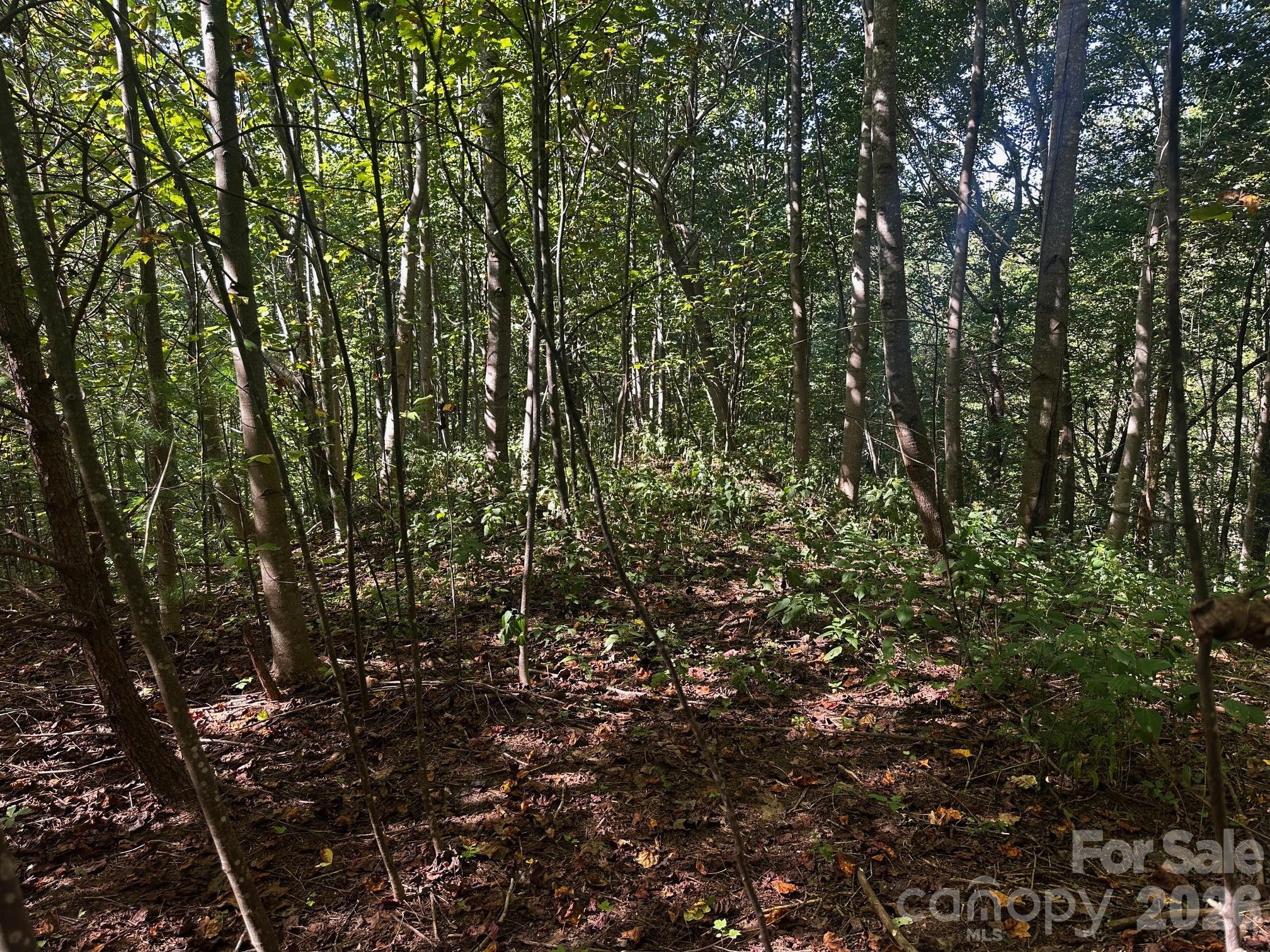 Lot at 0 Clear Creek Trail, Lake Lure, photo 5 of 8