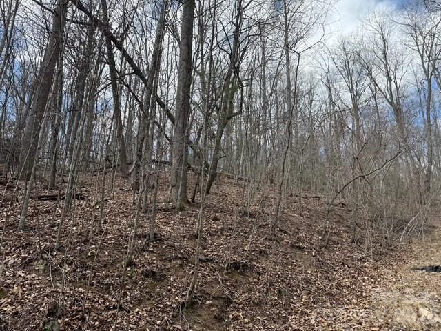 Lot at 158 Chattooga Run, Hendersonville, photo 2 of 9