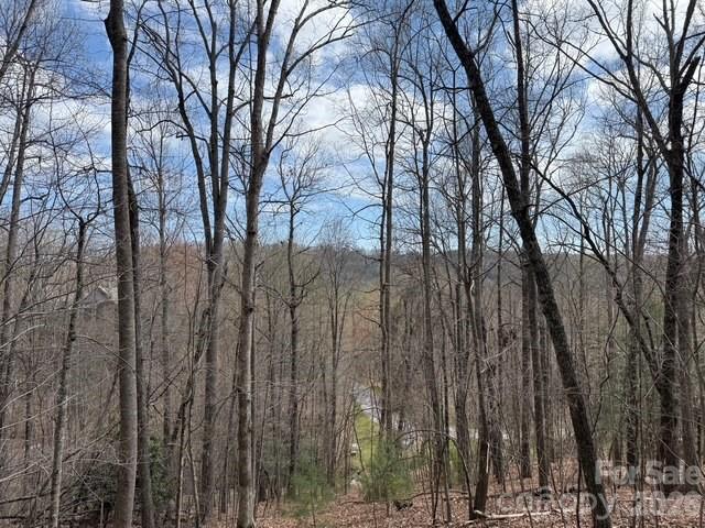 Lot at 158 Chattooga Run, Hendersonville, photo 6 of 9